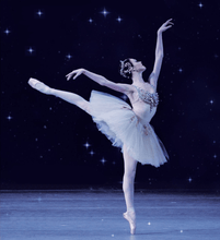 Load image into Gallery viewer, Ballerina Needlepoint Tapestry Corset