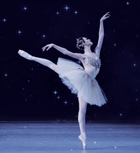 Load image into Gallery viewer, Ballerina Needlepoint Tapestry Corset
